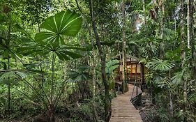 Daintree Wilderness Lodge